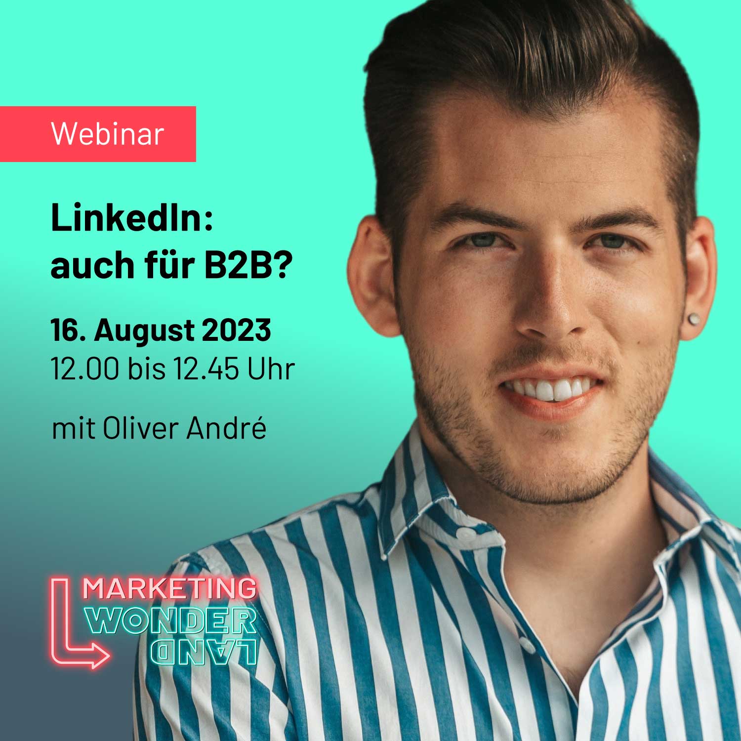 Webinar LinkedIn B2B mit Oliver André von BMQ Partners AG